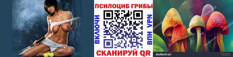 ссылка на мегу сайт  Северская  Галлюциногенные грибы MAGIC MUSHROOMS 